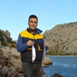 Yunus