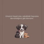 Profil fotoğrafı
