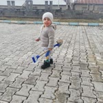 Sibel