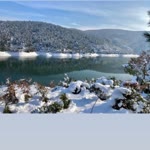 Tolga