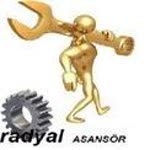 Radyal