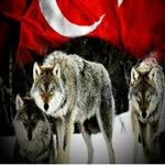 Yiğit