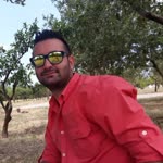 Umut