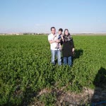 Serhat