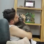Mikail