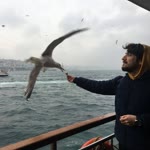 Fırat