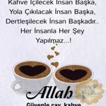 Bahar