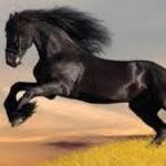 Yasin