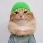 Yusuf