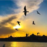 Zeynep