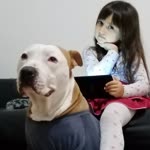 Nefeslinabob