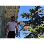 Umut