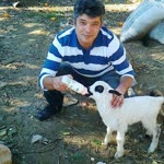 Murat