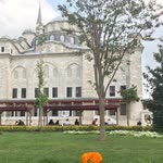 Ebruli