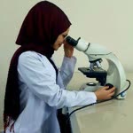 Elif
