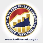 Şerife