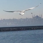 Başak