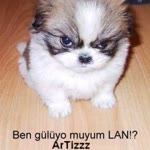 Kadir