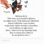 Zeliha