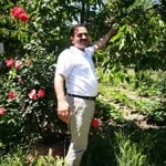 Lokman