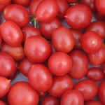 Oğuz