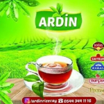 Ardin