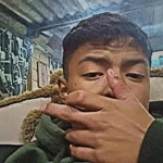 Jael