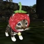 Eylül