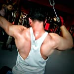 Erdal