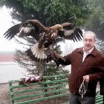 Fikret