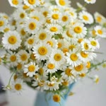 Sule