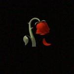 Hatice