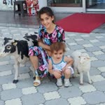 Sergül
