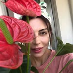 Ayşegül