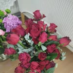 Derya