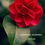Huseyin
