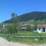 Celil