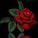 Bahar
