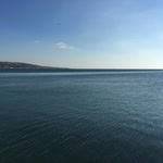 Sart
