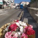Güldane
