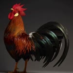 Ali