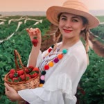 Şehri