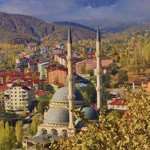 Nafiye