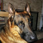 Janice
