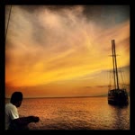 Murat
