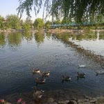 Tuğba