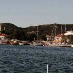 Soner