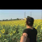 Dilek