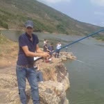 Erdal