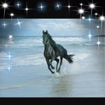 Meryem